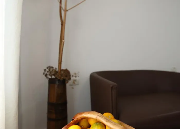 Te Rrapi Rooms 체파로 사진